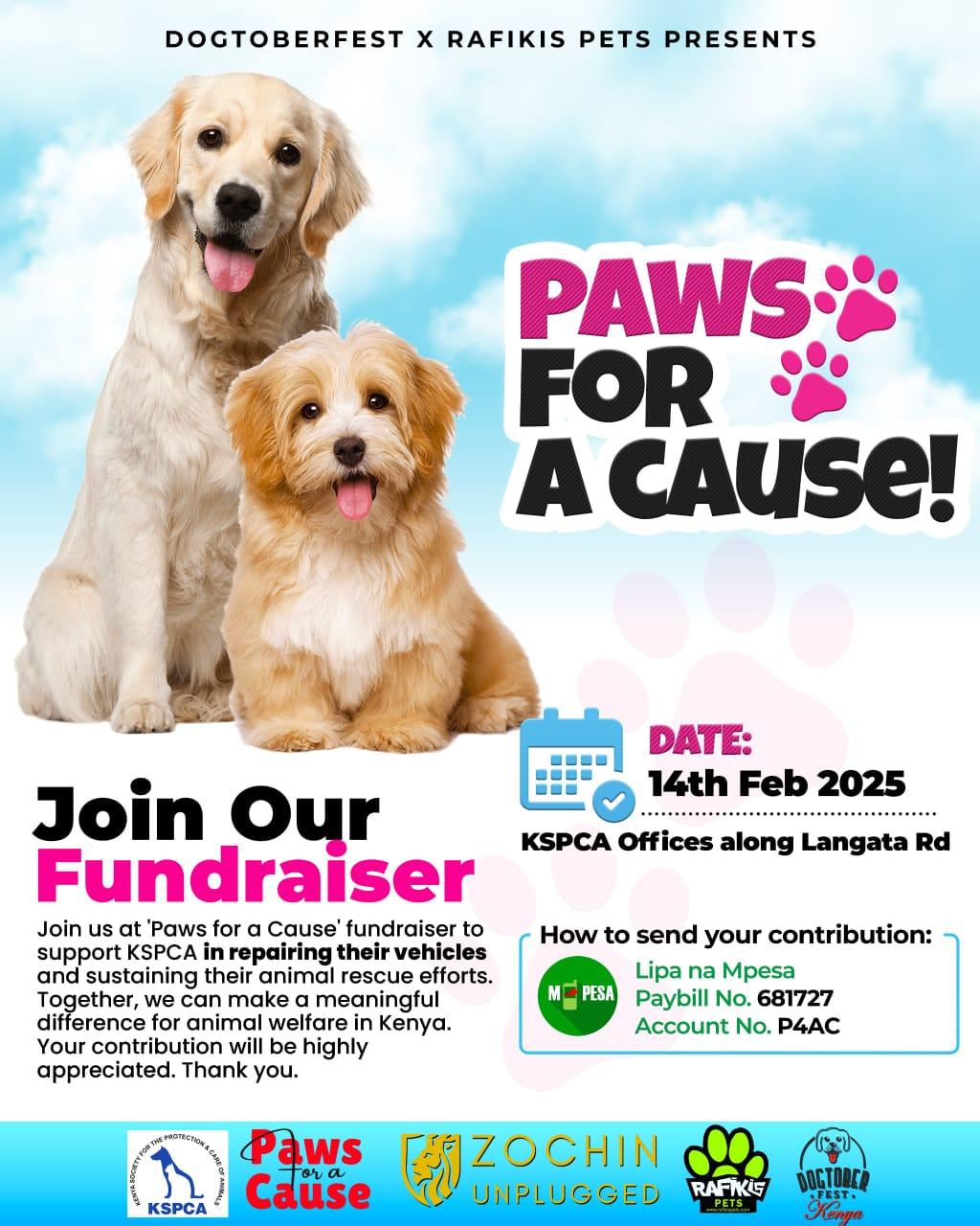 Paws For A Cause